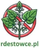 Rdestowce w Polsce